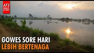 Mengapa performa bersepeda akan lebih baik di sore hari