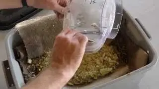 New Vermicompost Worm Bin 1 Week Followup