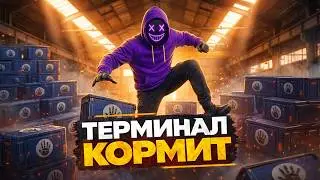 HOW MUCH DID MY 100 PRIME FARM EARN IN ONE WEEK IN CS2?