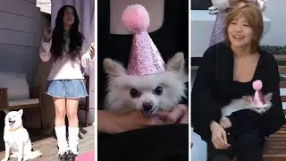 Nabi & Mika Steals the Show at Kaya's Birthday PAWty