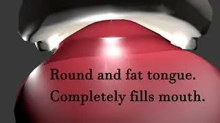 How to Pronounce the R Sound- 3d animation