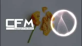 Royalty Free Background Music for Content Makers - No Copyright Music For Content Makers