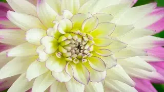 Chopin  -  Grande Valse Brillante, Op.  18