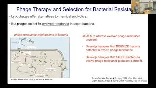 Predicting evolutionary genetics of virus-bacteria interactions in patients receiving phage therapy
