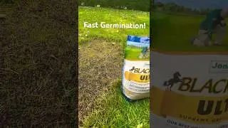 Grass Seed Progress! #grassseed #jonathangreengrassseed #lawncare