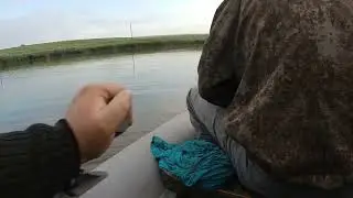 Поехали за судаком,а поймали сома!