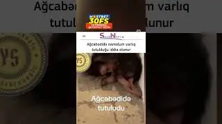 21 Ağustos 2024