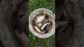 Рыбалка