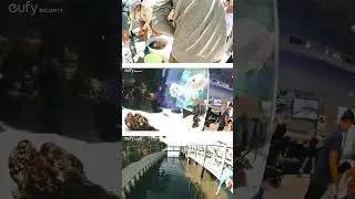 POV: You took your 4G LTE Cam on a conservation trip with you 🐠 🌊 ✈️