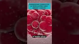 Learn how Quercetin, found in everyday foods help in modulating HER2 protein in breast cancer 