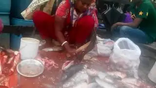 Fish Cutting In Fish Market This Women Really Hard Work In Fish Market