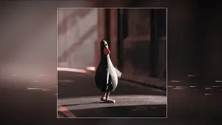 Mareux - Killer (Slowed & Reverb) |Feathers McGraw