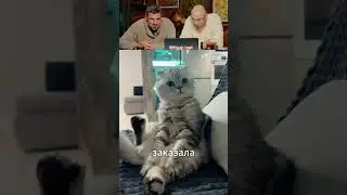 ЗАСМЕЯЛСЯ - ПОДПИСАЛСЯ! Ч.338🤣 СМЕХ С ВОДОЙ!