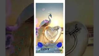 ❤❤❤❤