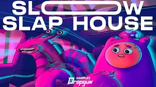 Slow Slap House (Sample Pack)