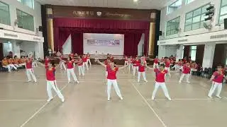 柔力球《我和我的祖国》由阳光柔力球队展示