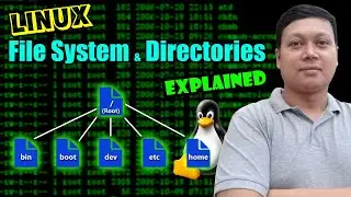 Linux File System / Structure Explained! Linux Directories | Linux For Hackers | Amader Canvas