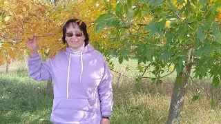 Якби то я художником була...Українська поезія.             (читає автор).