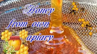 Honey from own apiary ||Мед з власної пасіки.