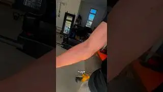 Grow Bedard Forearms