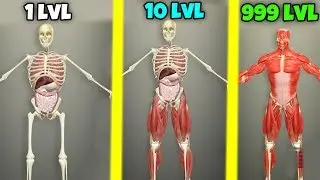 ЭВОЛЮЦИЯ ЧЕЛОВЕКА ЧТОБЫ СОЗДАЛ ЕГО ПО КУСОЧКАМ В ИГРЕ IDLE HUMAN!
