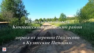 Дорога от деревни Подлесово в Кузюгские Починки (Кичменгско-Городецкий район)