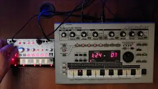 Acid House Jam with the MC 303 + Volca Bass