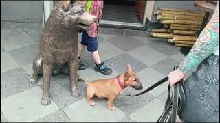 Прогулки по Москве. Гуляю по Замоскворечью. Пятницкие улица и переулок. 