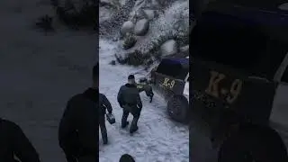 ПОИСК ПРОПАВШИХ / К-9 