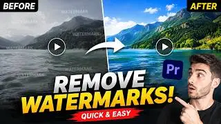 How to Remove Watermarks from Videos Quick and Easy Method