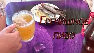 Гречишное пиво!!! Простой рецепт домашнего пива!!!