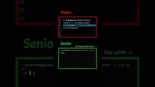 How Senior Developers debug python code | 
