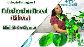 412 - COMO FAZER FILODENDRO BRASIL