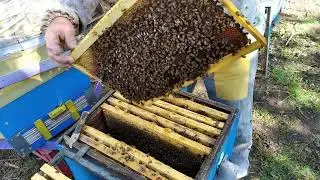 Масштабный  эксперимент Уверенно идем в зиму Сборка гнезд часть 1