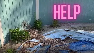 Revitalizing an old Johnny Weismuller Pool