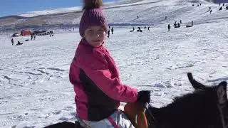 Я каталась на ослике по прозвищу Кара-Жорго) 13 января 2019.