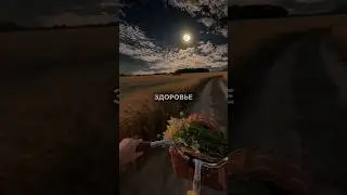 Кто такой фасилитатор Открытого диалога?