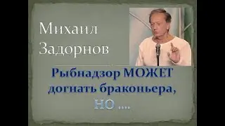 Рыбнадзор МОЖЕТ догнать браконьера, НО ...