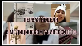 Первая неделя учебы в медицинском университете!