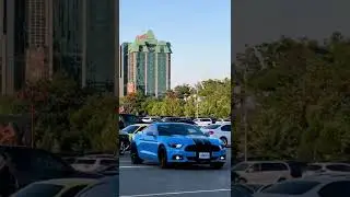 lala la😎  