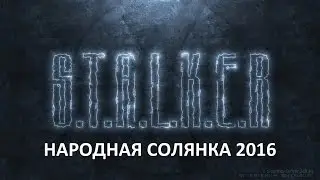Народная Солянка 2016 #39 
