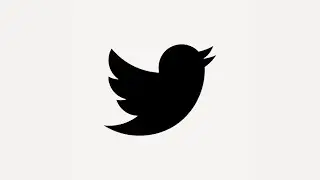 How To Apply For a Twitter Developer Account. [2021]