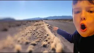 I Went to Area 51