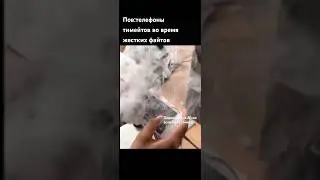 жиза? 