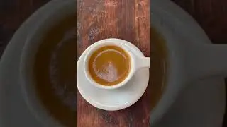 WDT only Espresso Shot! | Homemade WDT Tool