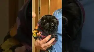 Полотенце лучше. 