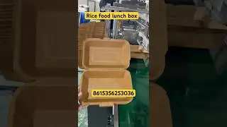 Automatic food paper lunch box forming machine disposable plate maker #shorts #machine #food #box