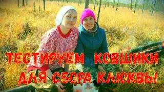 тестирование ковшиков всех видов для сбора клюквы