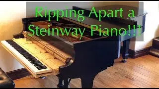 John Teng has his Steinway Piano "Ripped Apart" by a technician who explains proper maintenance.