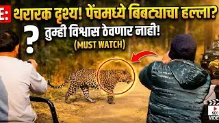 ​Pench Safari: Went in search of a tiger and look what I saw! 